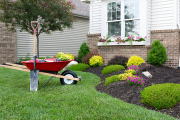 Landscaping Services